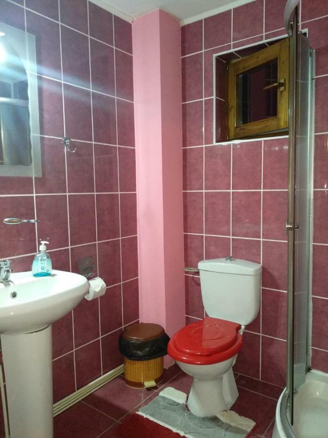 Casa Rares Sucevita Extérieur photo